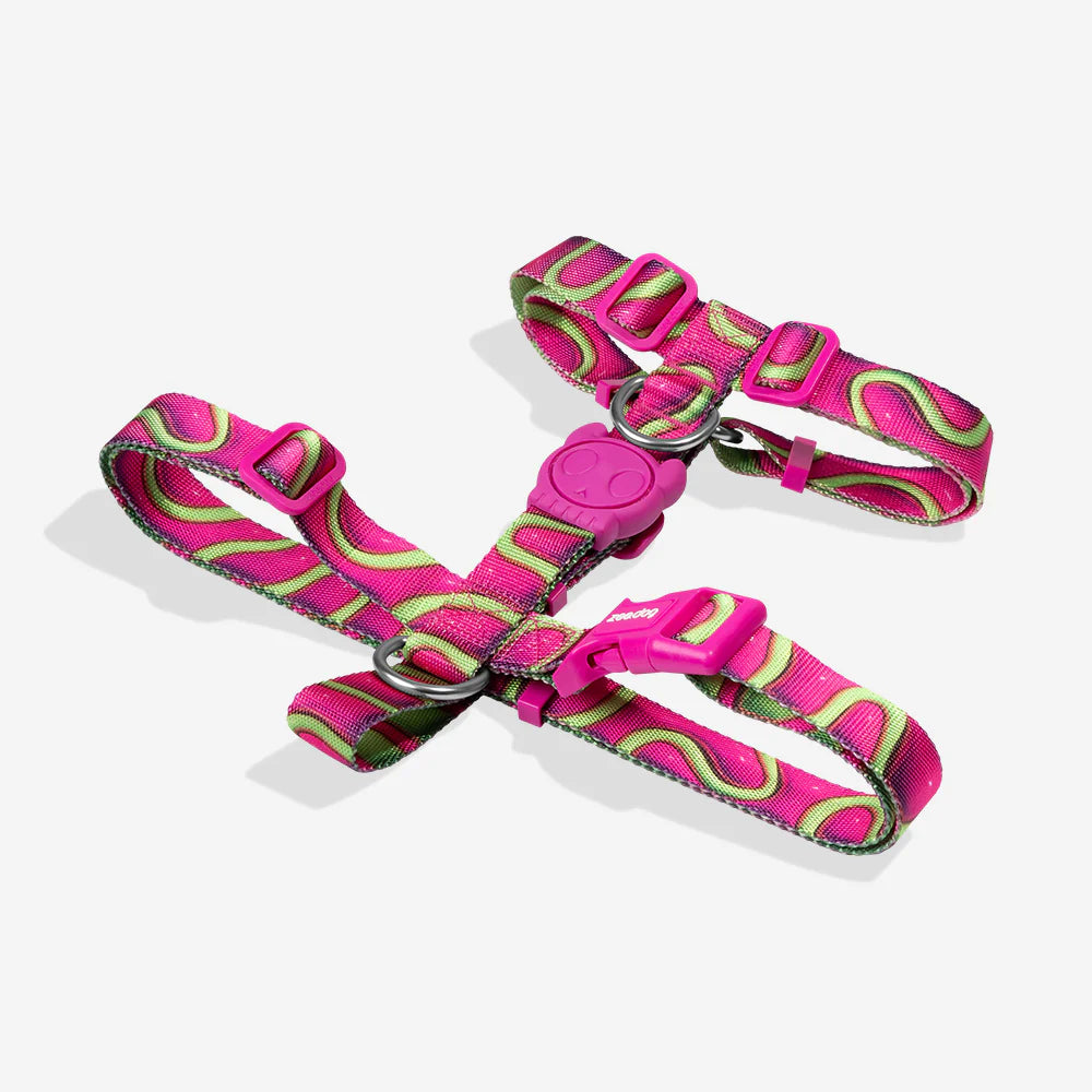 Шлейка JELLY H3D Zee.Dog