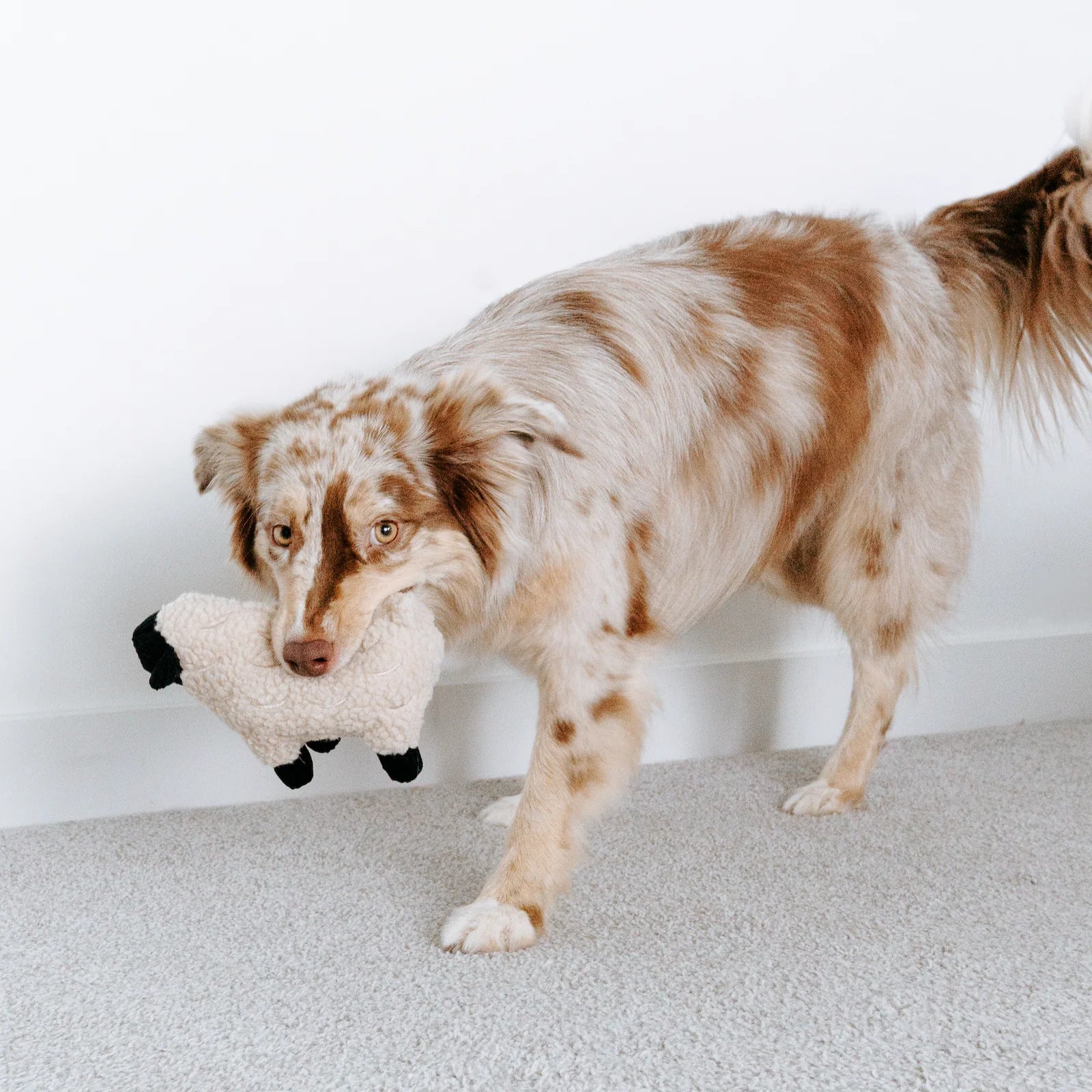 Іграшка LAMPY lambwolf collective