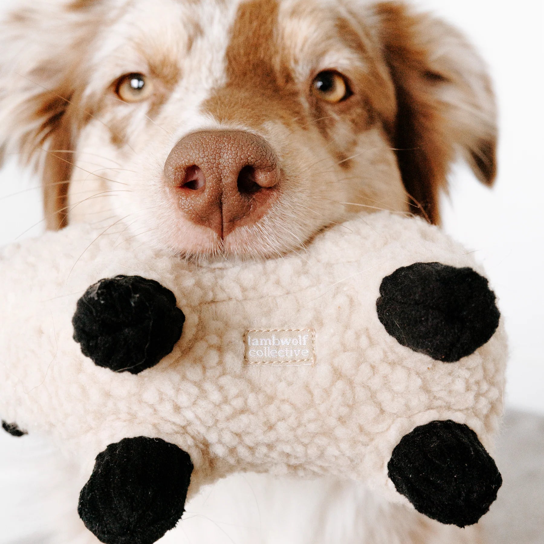 Іграшка LAMPY lambwolf collective