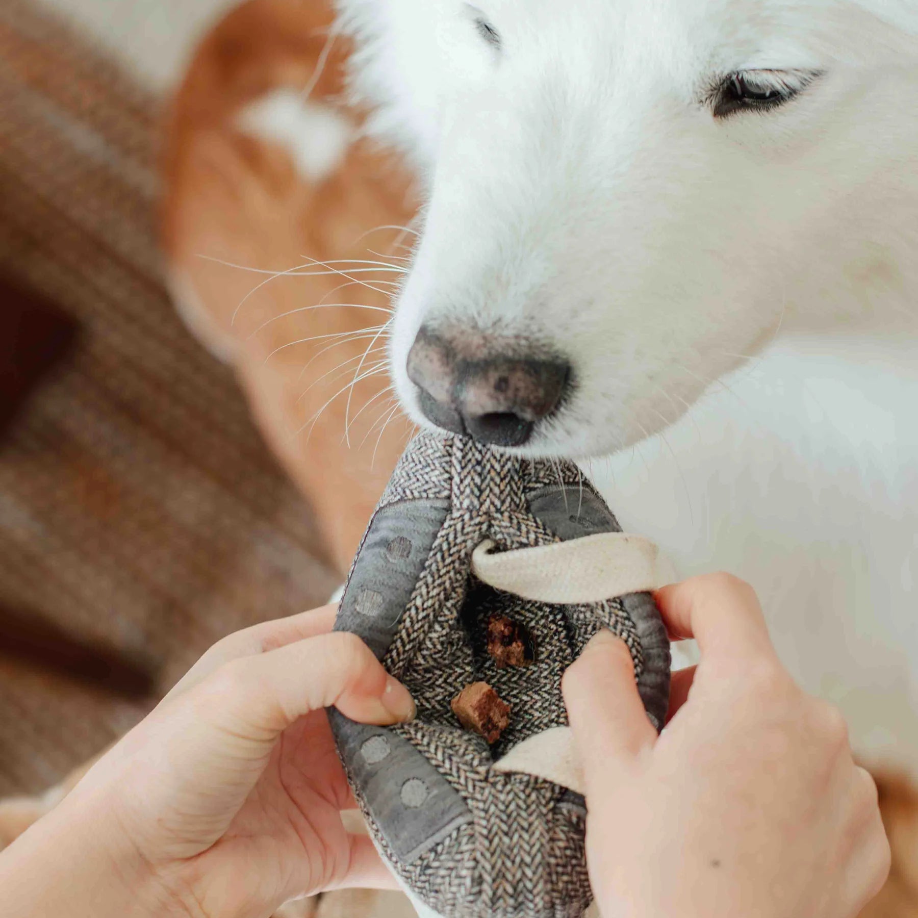 Пошукова іграшка CASSETTE lambwolf collective