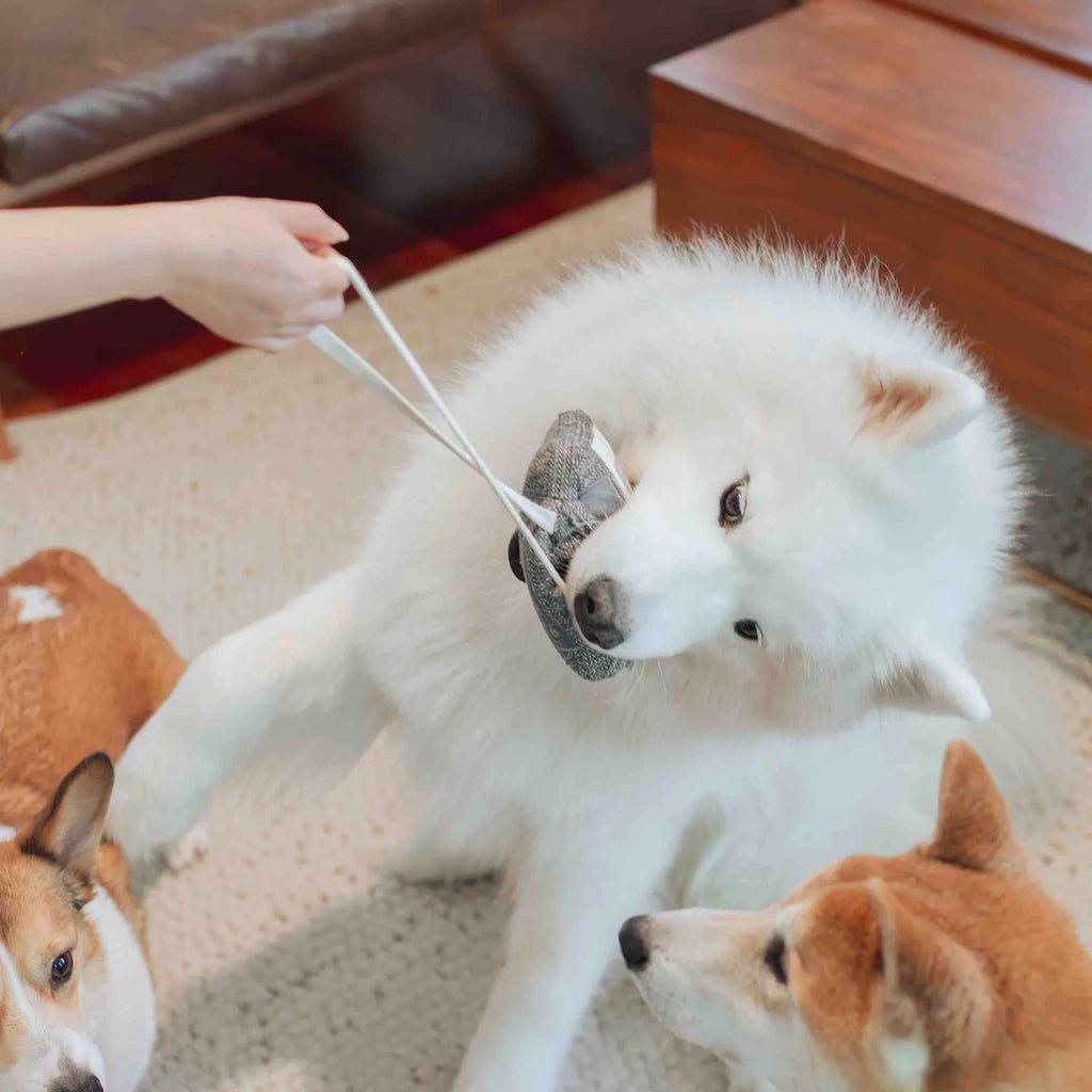 Пошукова іграшка CASSETTE lambwolf collective