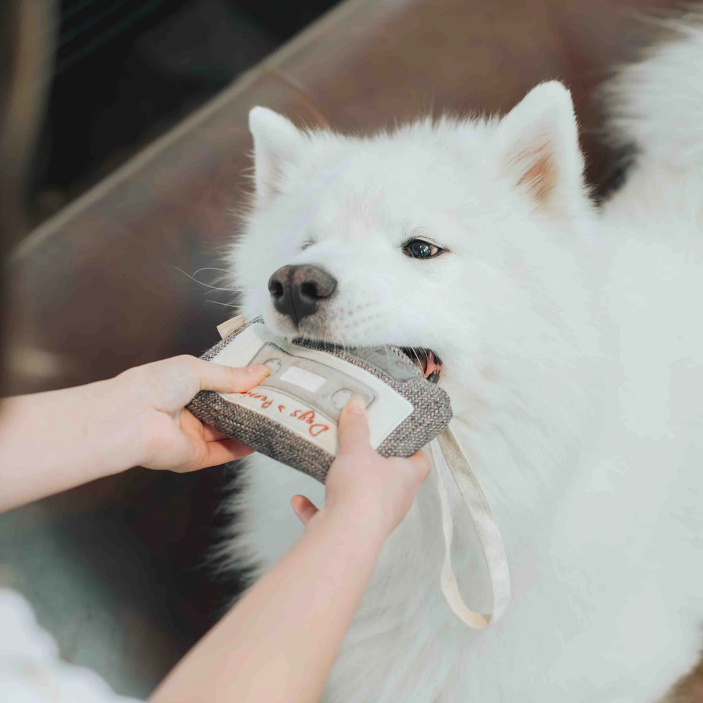 Пошукова іграшка CASSETTE lambwolf collective