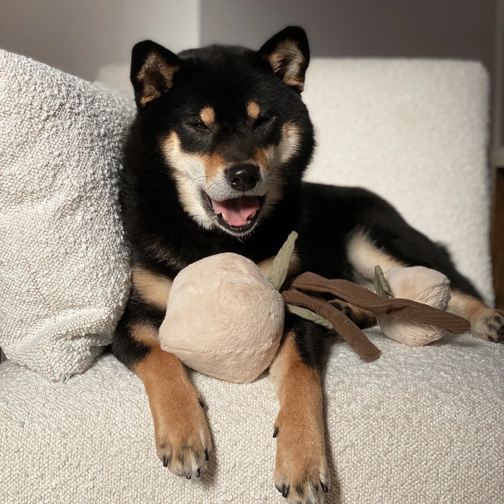 Пошукова іграшка MOMO lambwolf collective