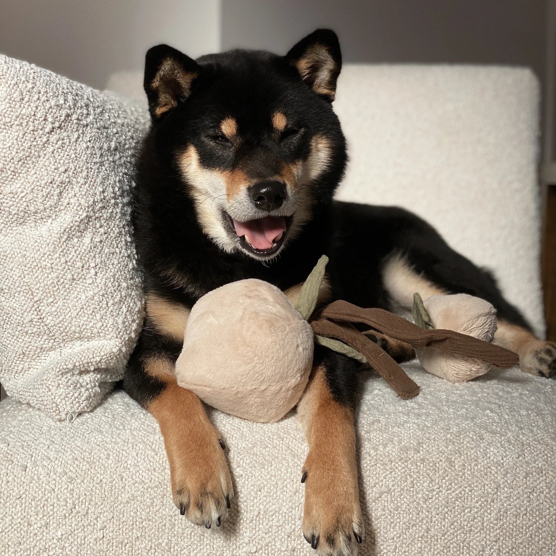 Пошукова іграшка MOMO lambwolf collective