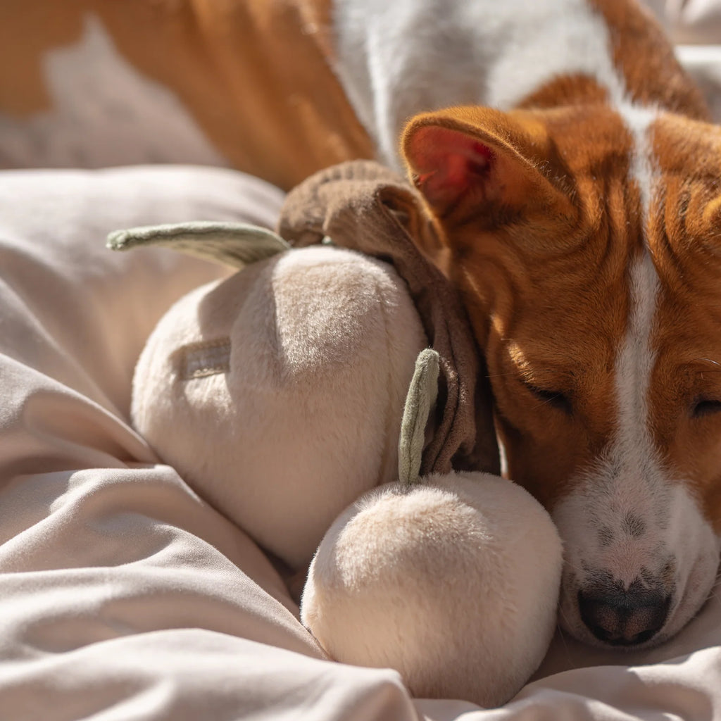 Пошукова іграшка MOMO lambwolf collective