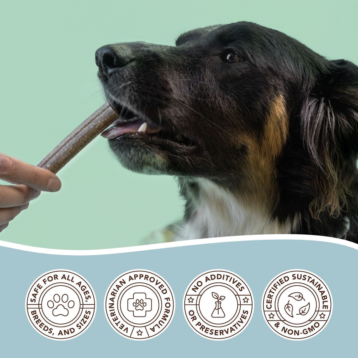 Веганські гіпоалергенні ласощі для чистки зубів Dental Treats  Natural Dog Company