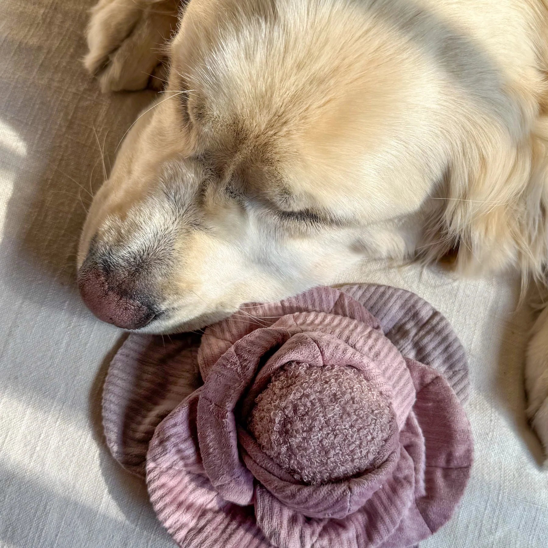 Пошукова іграшка Red Cabbage POP lambwolf collective