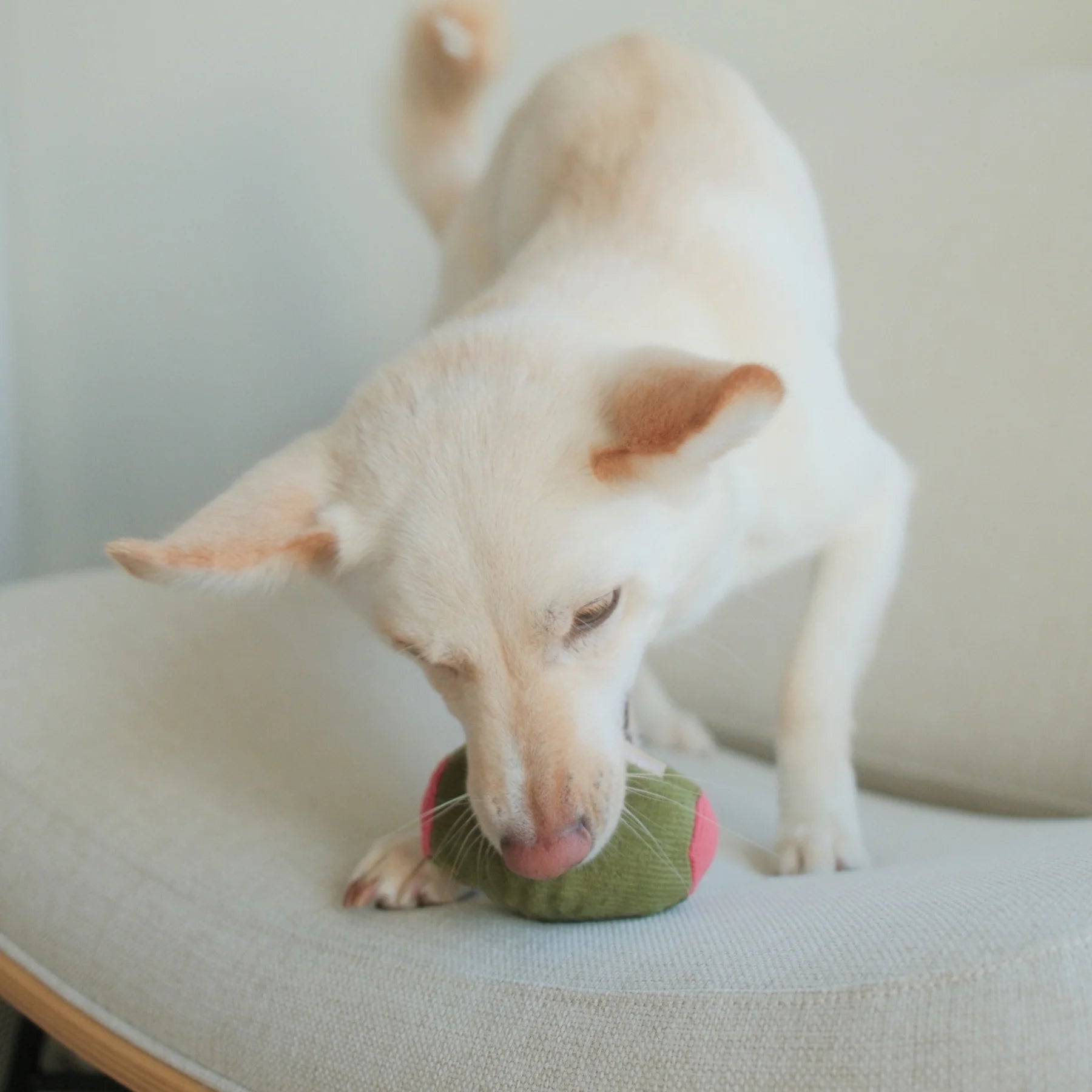 Пошукова іграшка Olive+Salami lambwolf collective