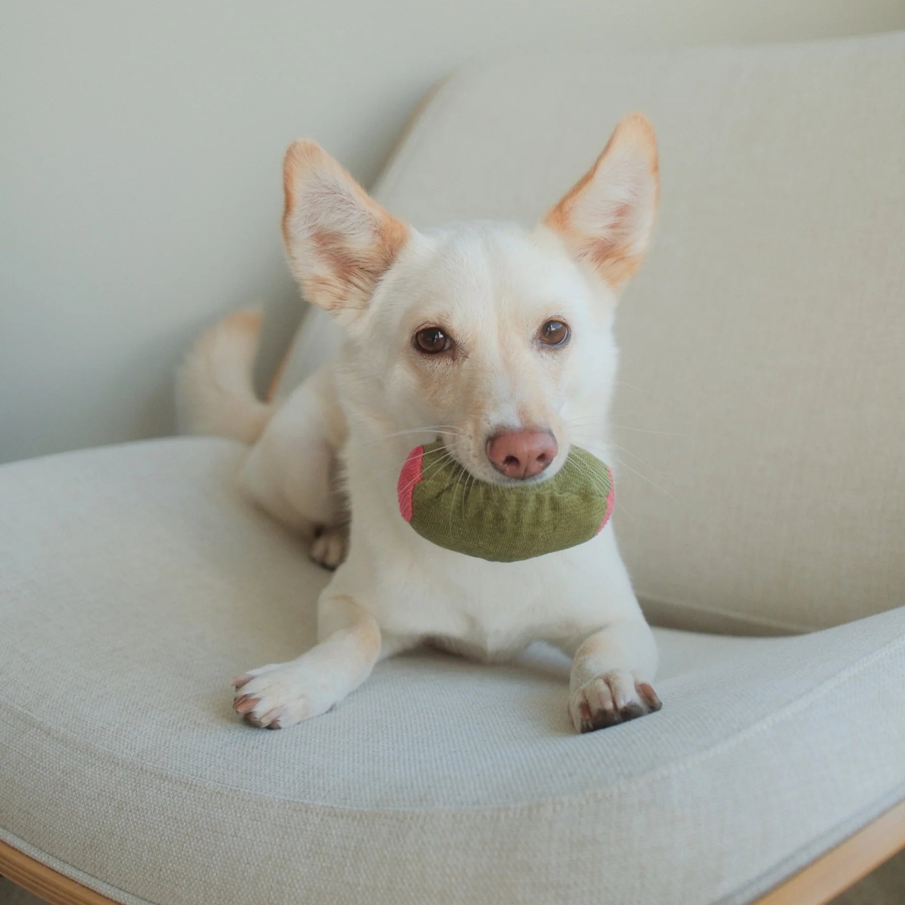 Пошукова іграшка Olive+Salami lambwolf collective