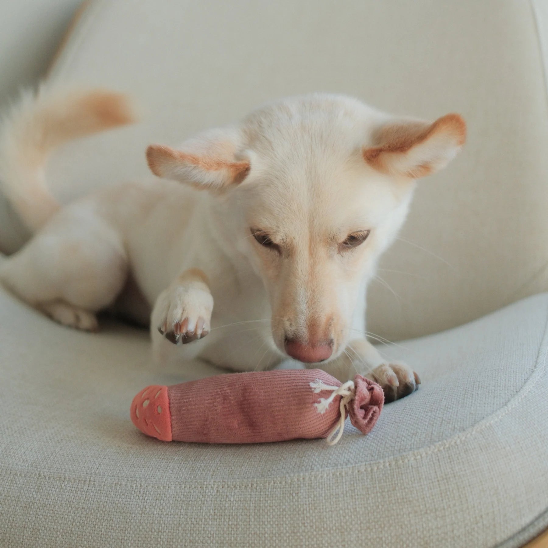 Пошукова іграшка Olive+Salami lambwolf collective