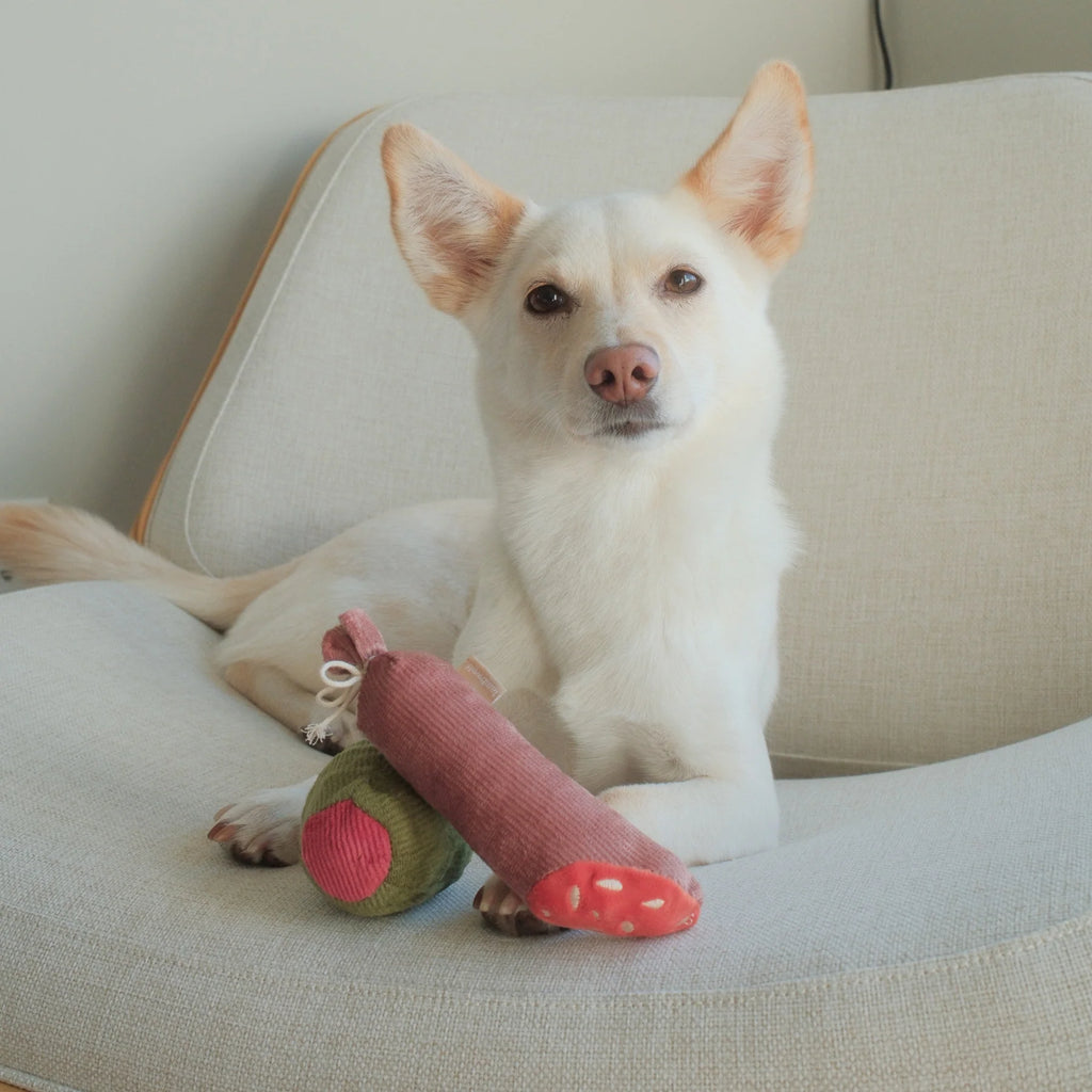 Пошукова іграшка Olive+Salami lambwolf collective