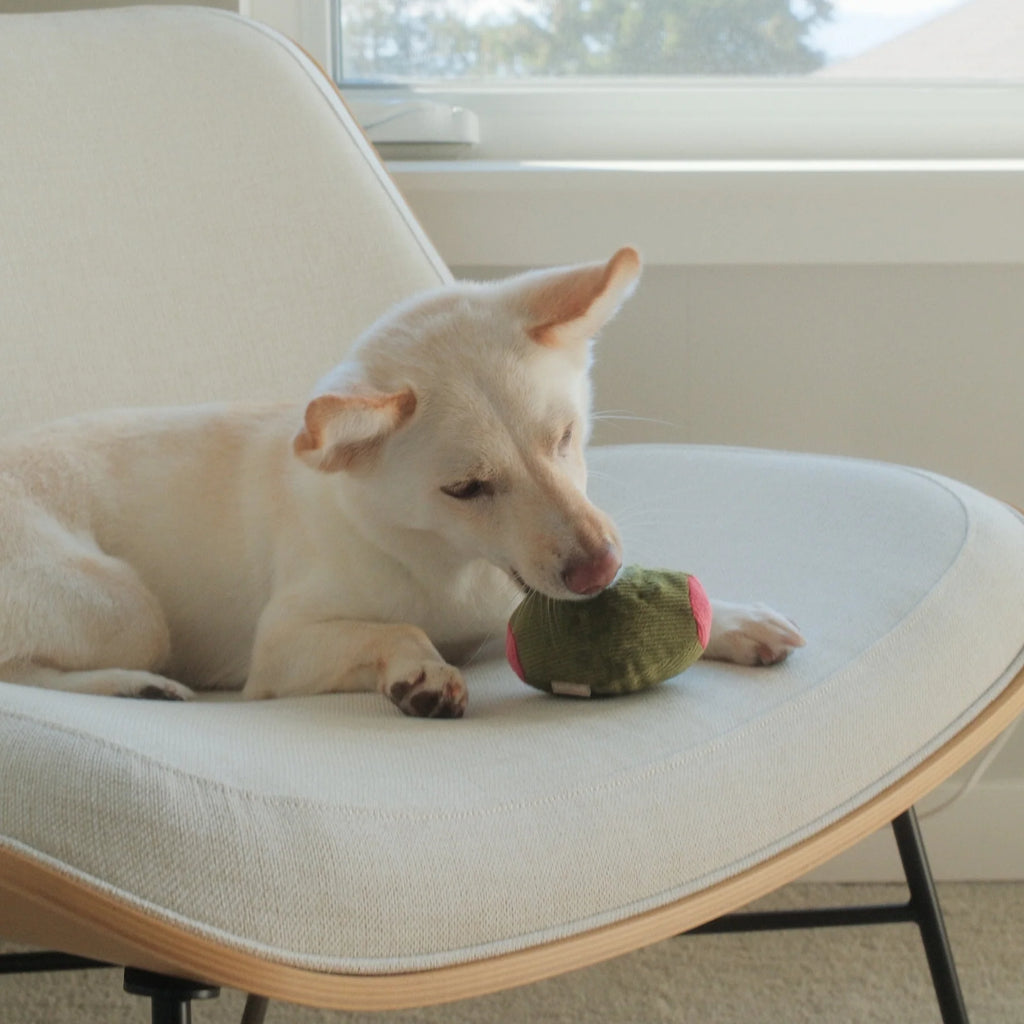 Пошукова іграшка Olive+Salami lambwolf collective