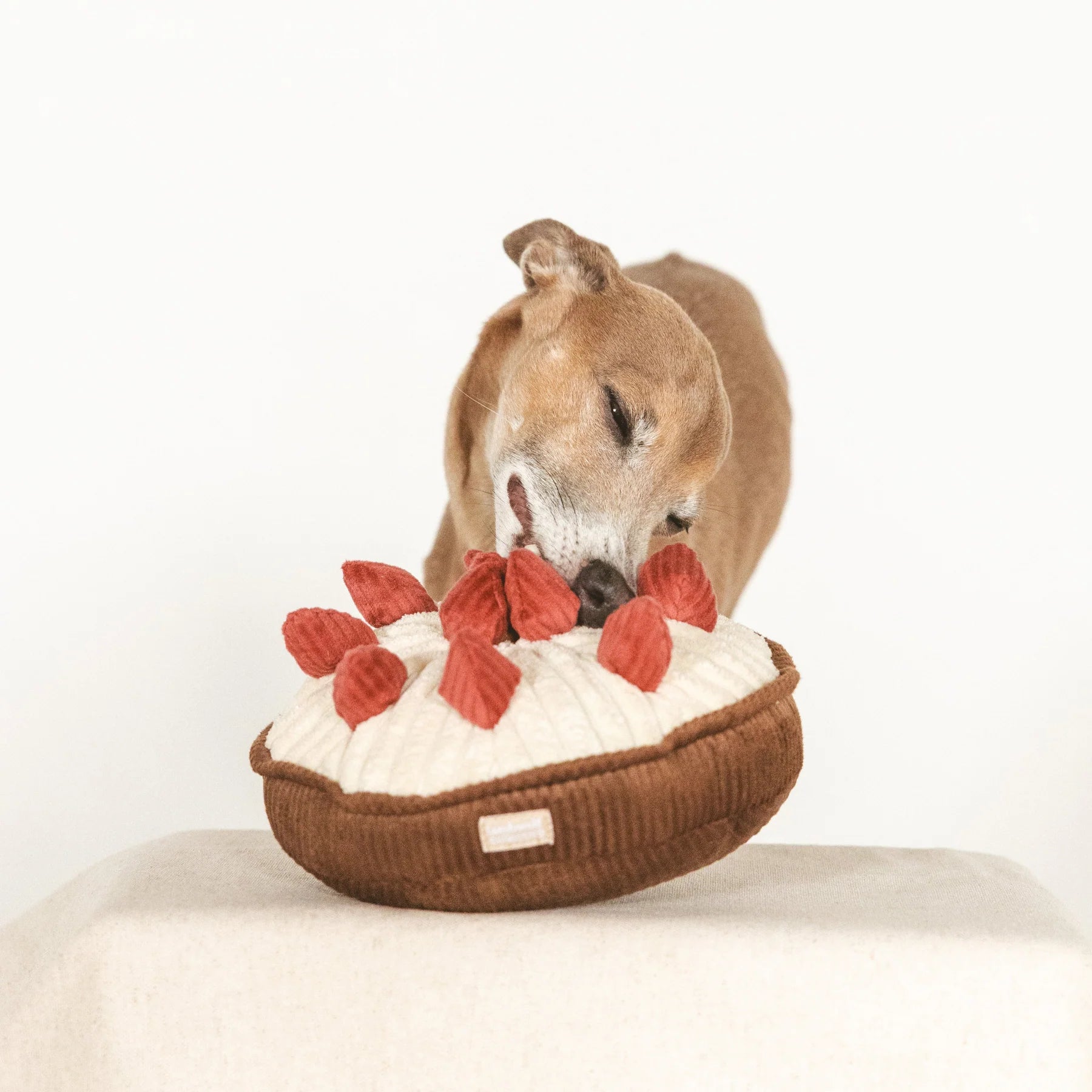 Пошукова іграшка BERRY PIE lambwolf collective