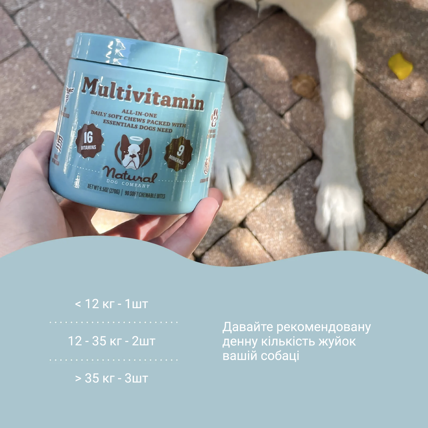 Мультивітамінний комплекс Multivitamin Natural Dog Company 90шт