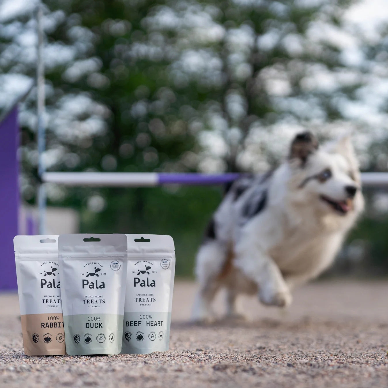 100% яловиче серце Treats Pala 100 г