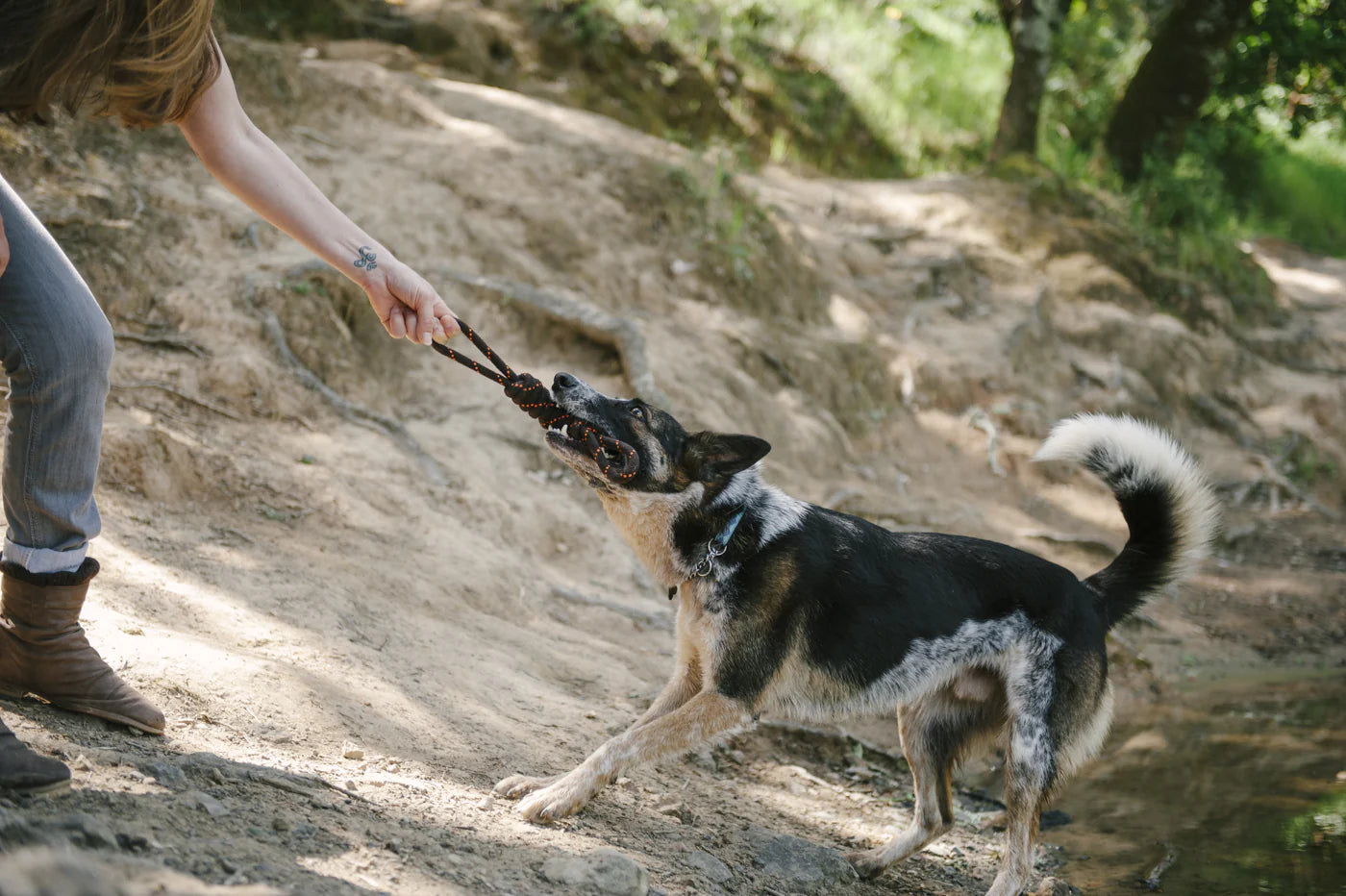 Іграшка Tug Rope Toy