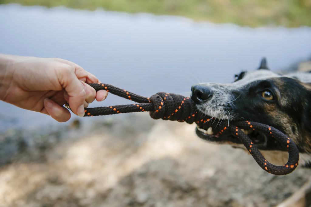 Іграшка Tug Rope Toy