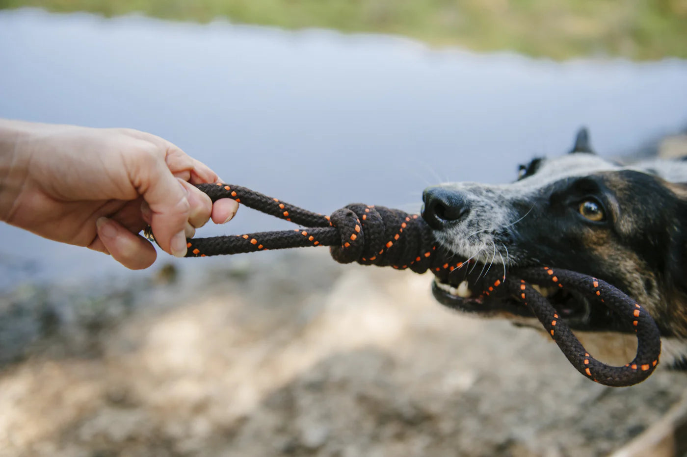 Іграшка Tug Rope Toy