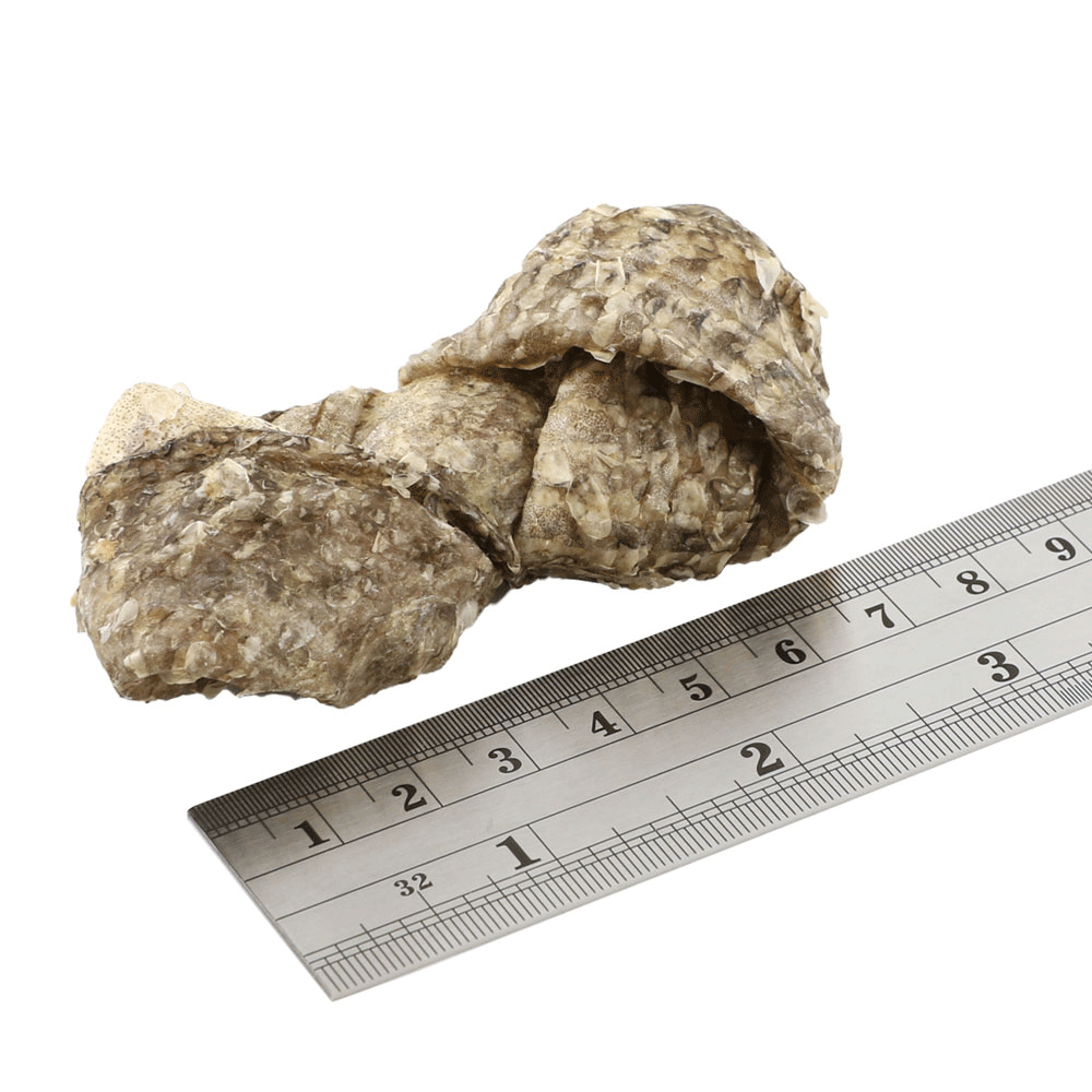 Вузлики зі 100% шкіри білої риби Sea Jerky Fish4Dogs 100 г