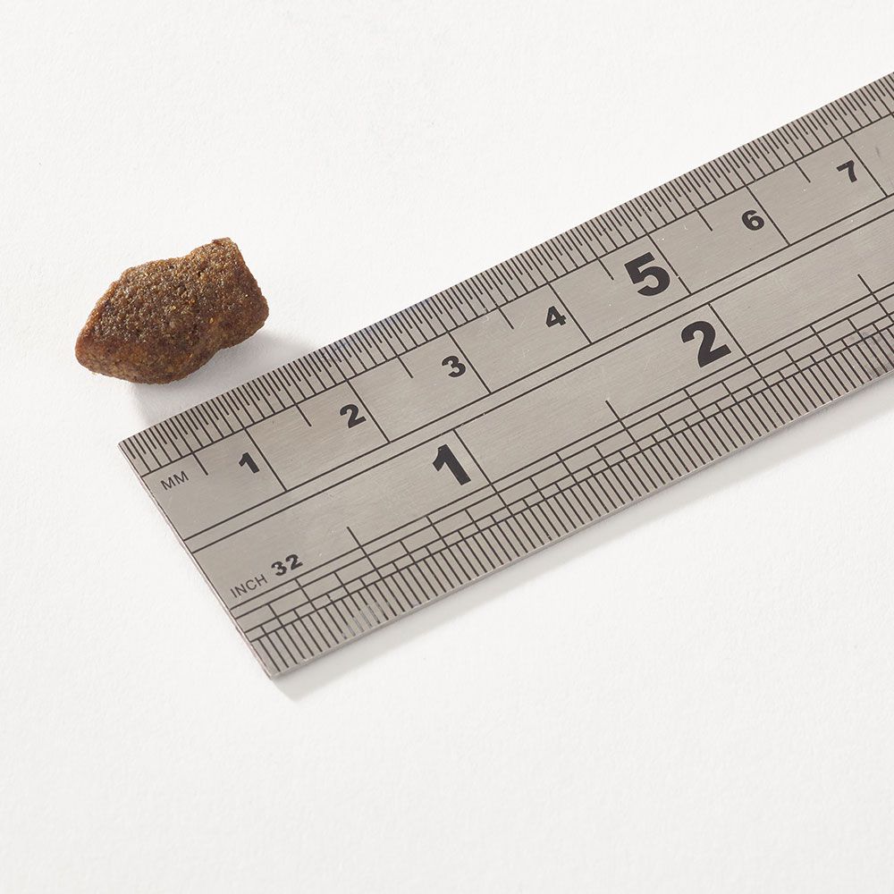 Функціональне печиво для цуценят з лососем для підтримки здоровʼя суглобів та звʼязок Support+ Fish4Dogs 150 г