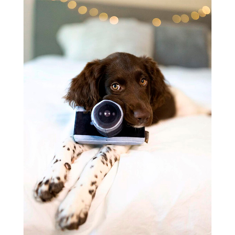 Іграшка Mini Globetrotter Lens Licker Camera