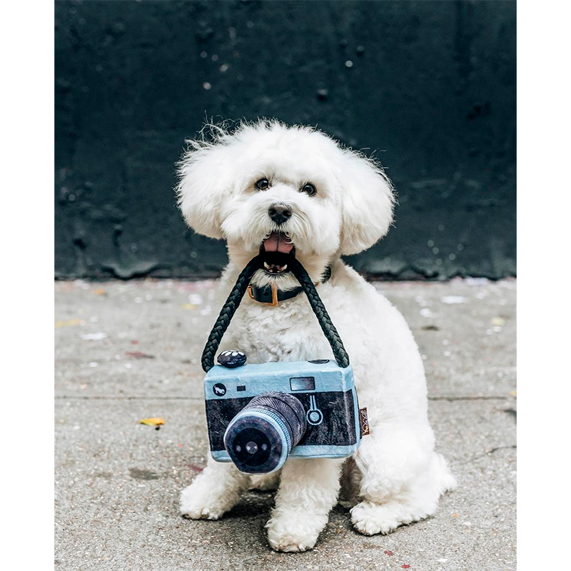 Іграшка Mini Globetrotter Lens Licker Camera