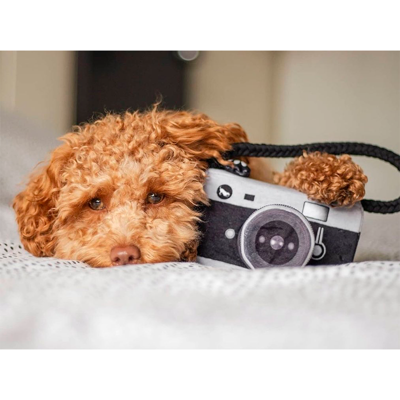 Іграшка Mini Globetrotter Lens Licker Camera