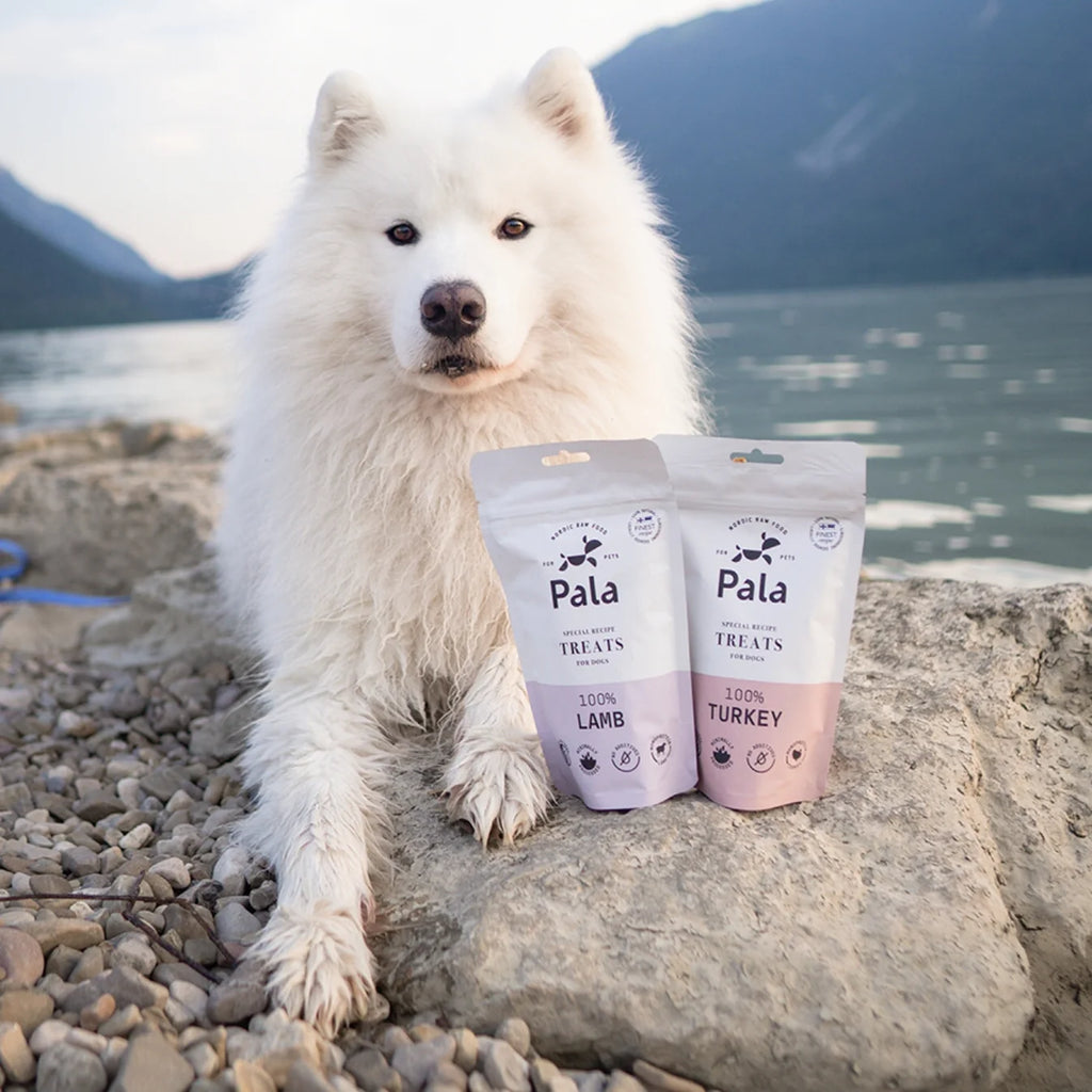 100% індичка Treats Pala 100 г