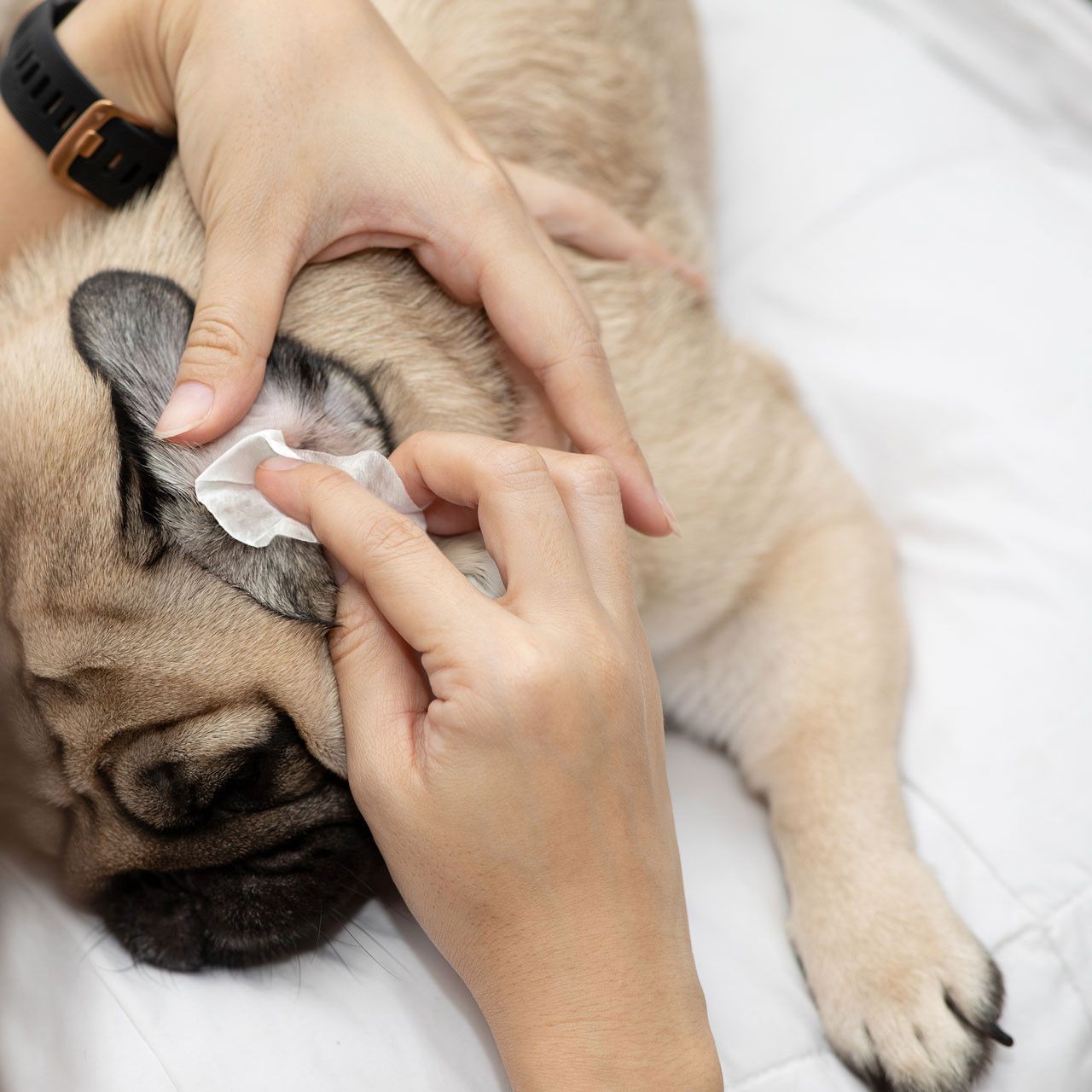 Серветки для очищення вушок Fresh Ear Cleaning Wipes Eye Envy 60шт