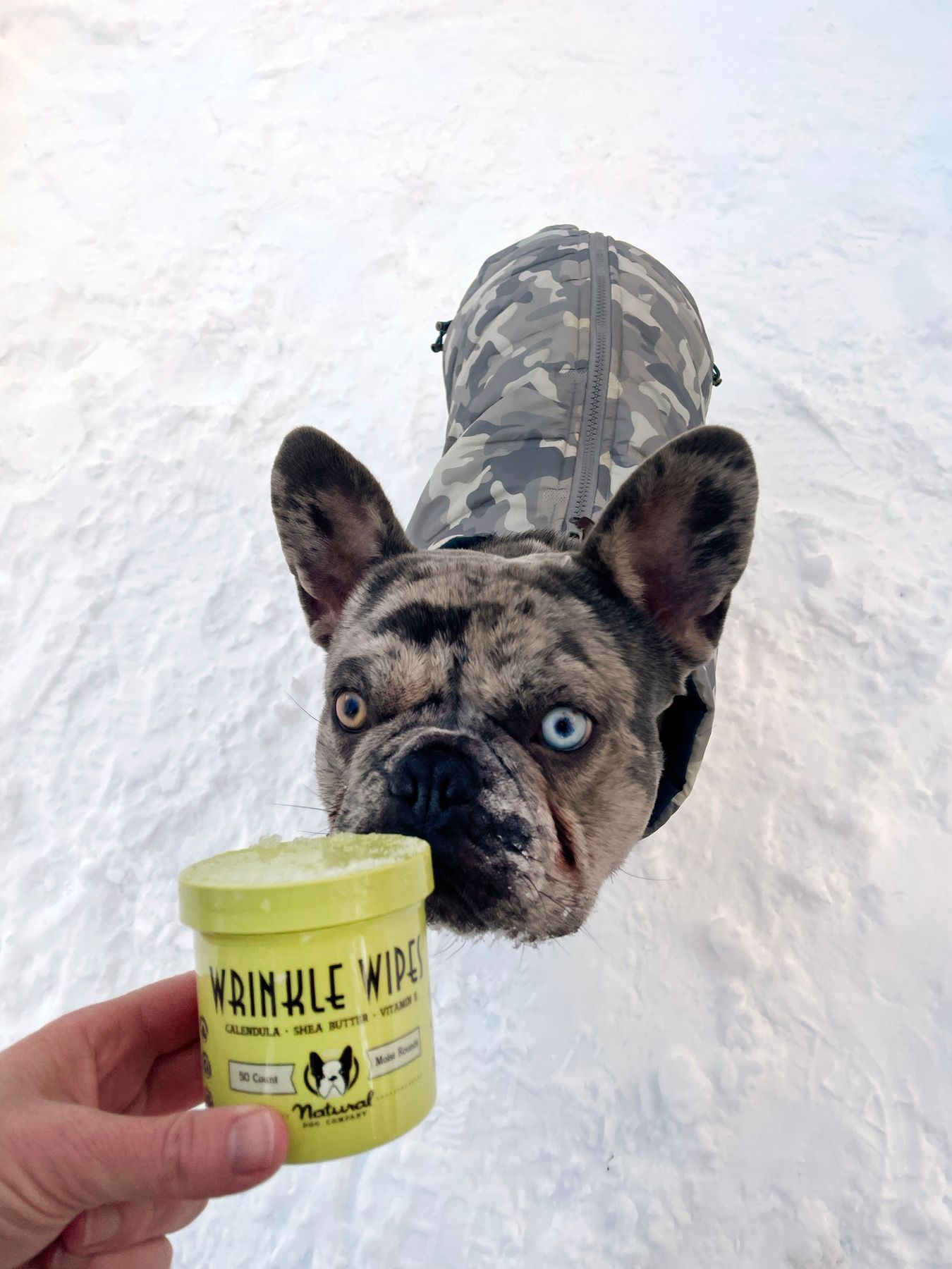Серветки для складочок Wrinkle Wipes Natural Dog Company
