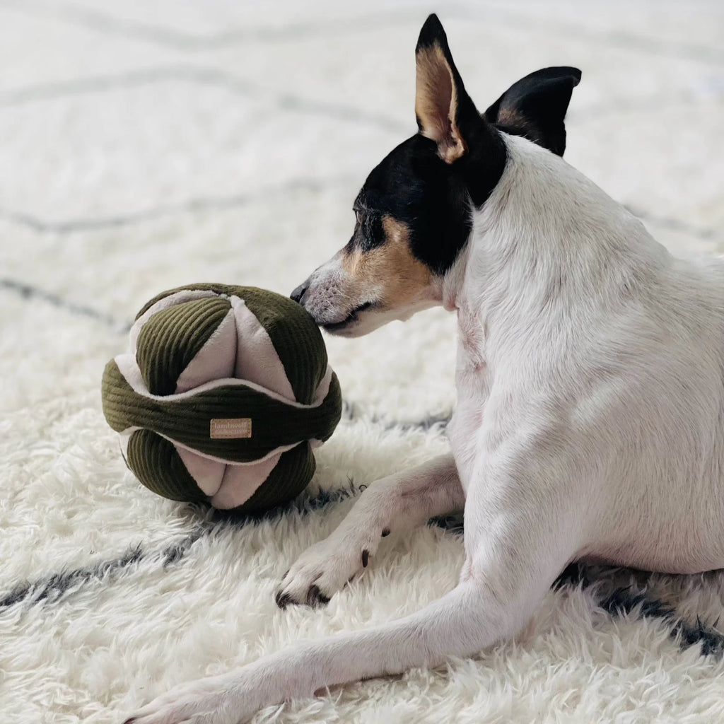 Пошукова іграшка MONTI PINE lambwolf collective