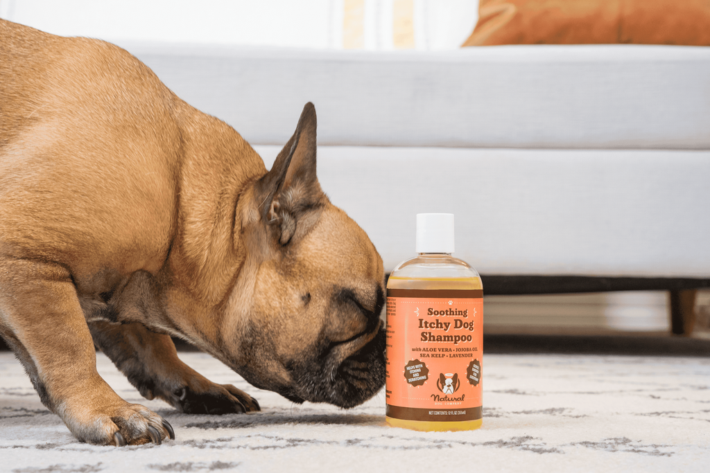 Шампунь для собак проти свербіння Itchy Dog Natural Dog Company 355 мл