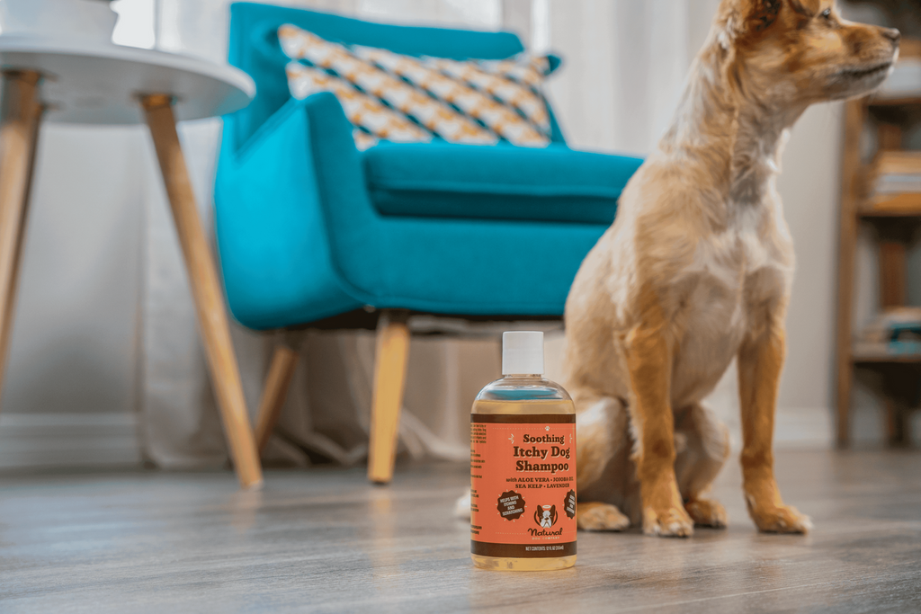 Шампунь для собак проти свербіння Itchy Dog Natural Dog Company 355 мл
