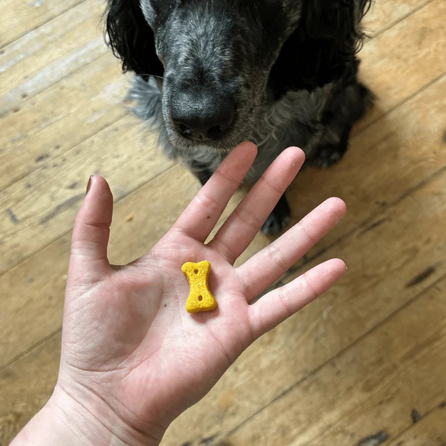 Печиво арахіс з кокосом і куркумою (рослинний білок) Beco Pets 70 г
