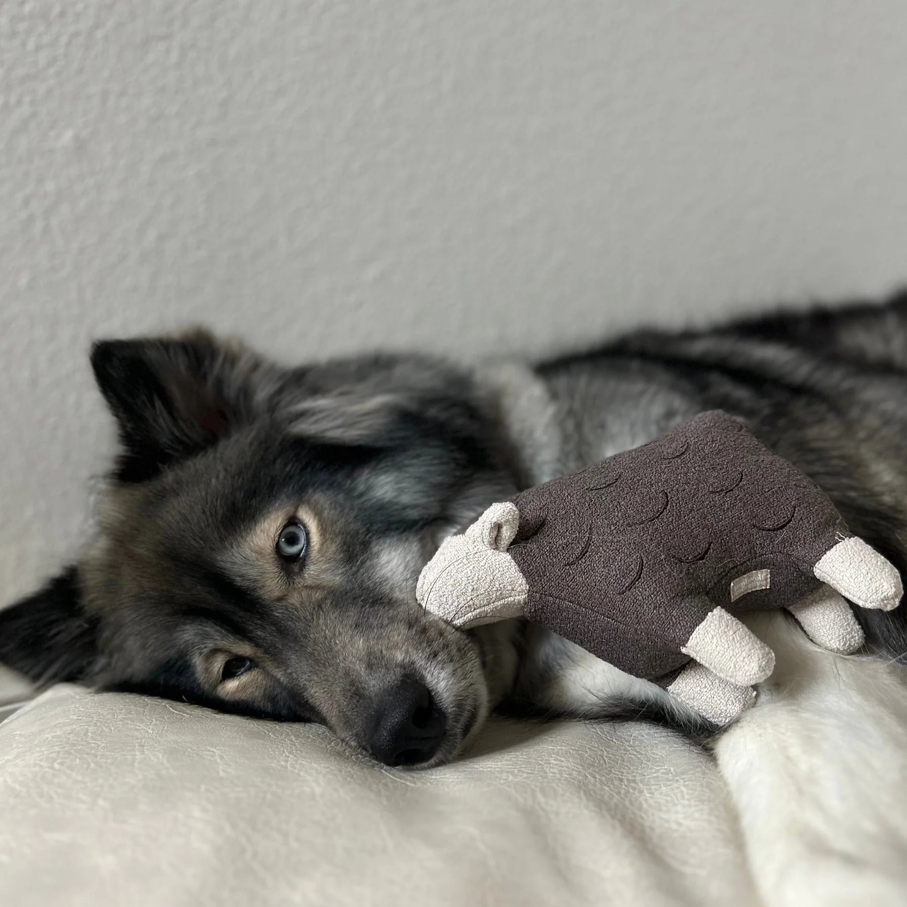 Іграшка BARRY lambwolf collective