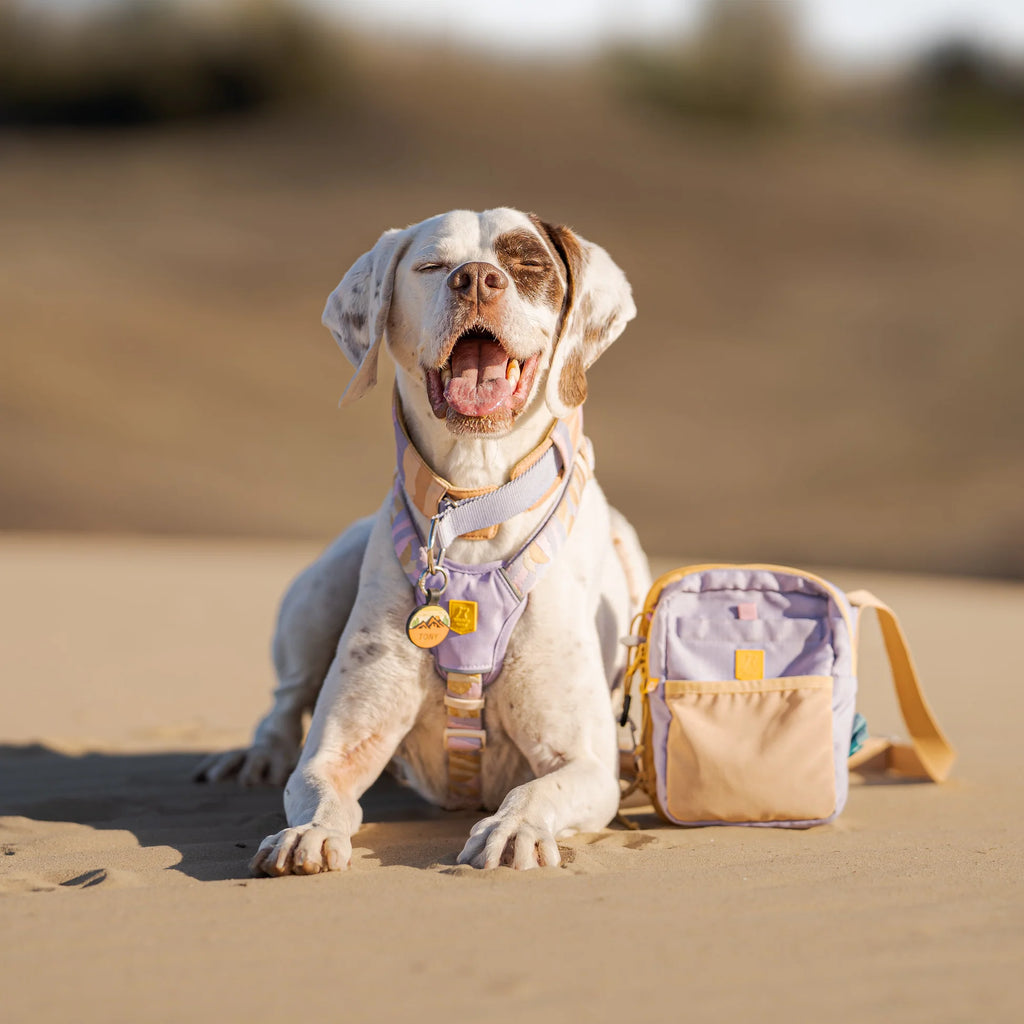Сумка для прогулянок, пляшки та аксесуарів Hydration Shoulder Bag Lavender Mix Woolly Wolf
