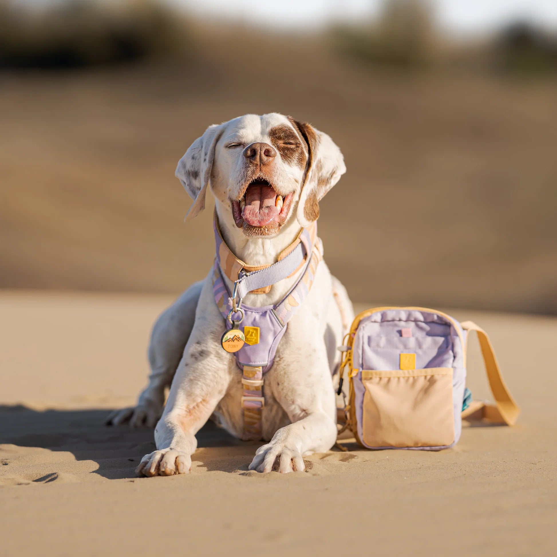 Сумка для прогулянок, пляшки та аксесуарів Hydration Shoulder Bag Lavender Mix Woolly Wolf