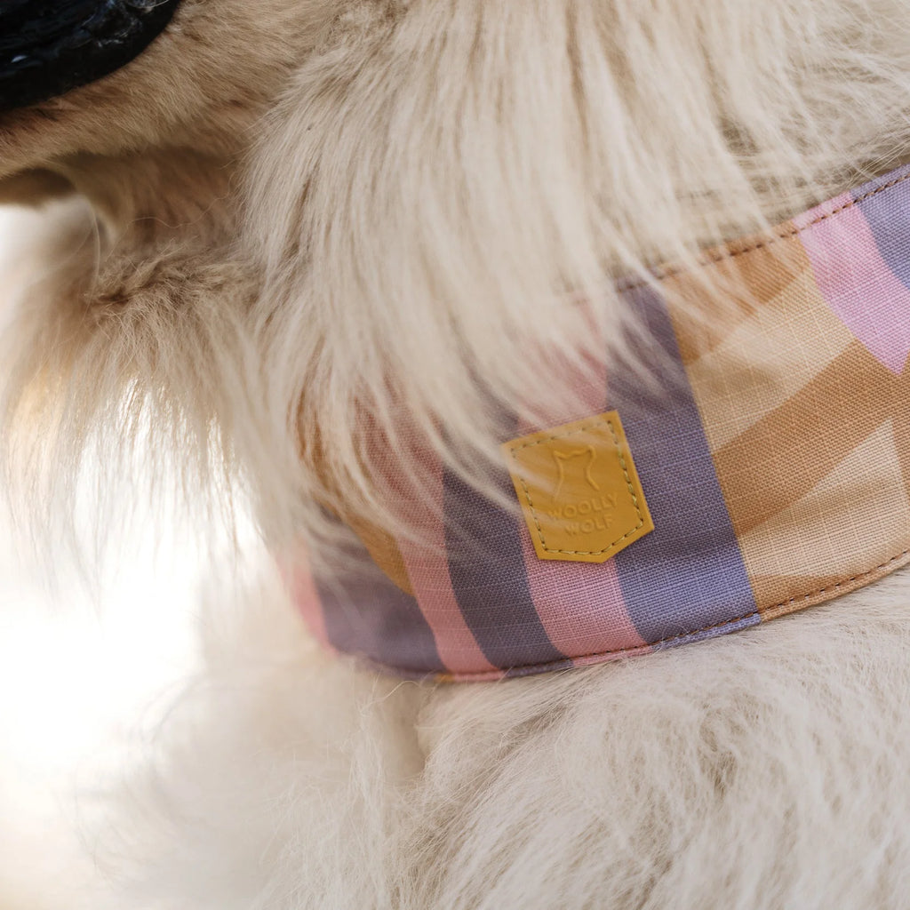 Нашийник Martingale Sunshower Woolly Wolf