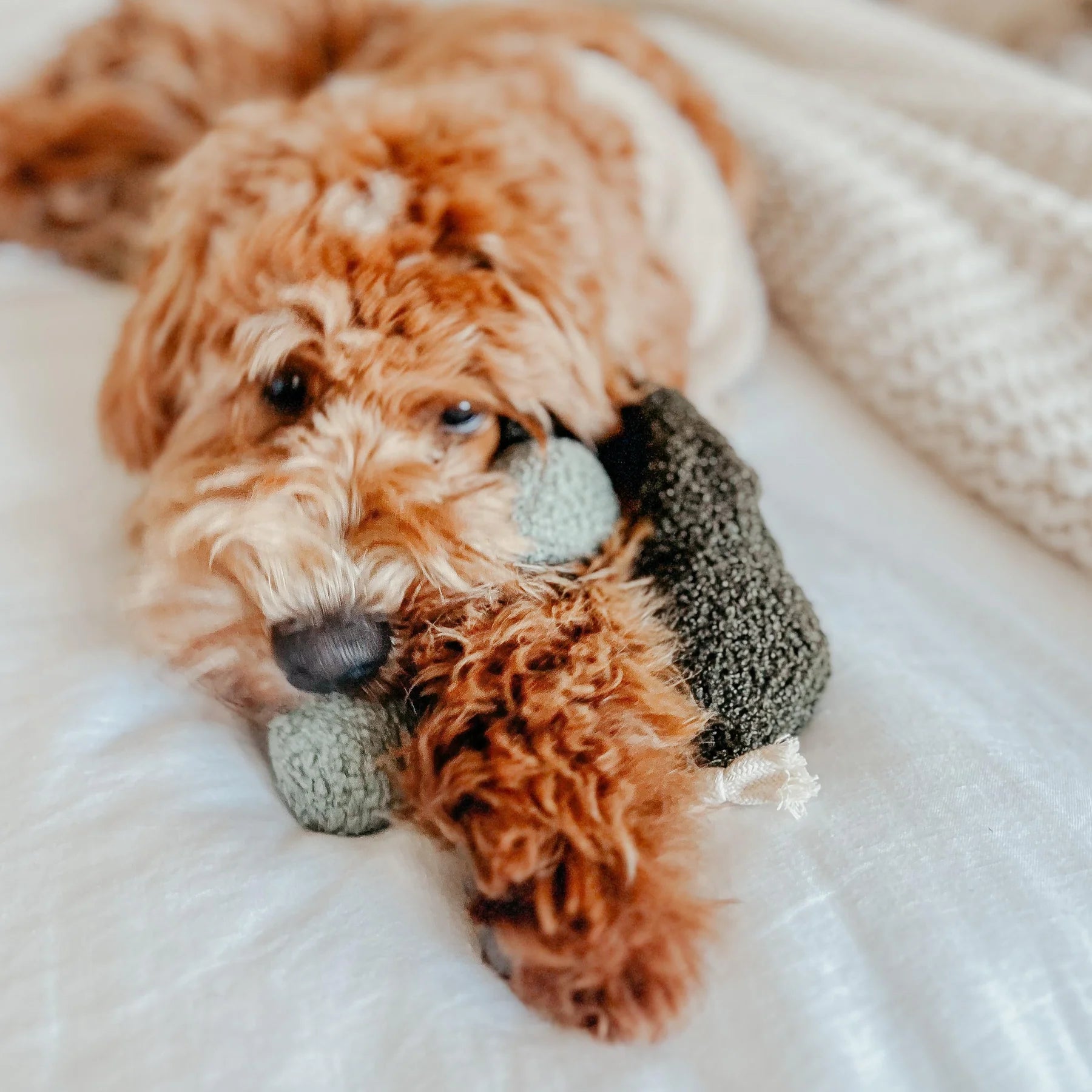 Пошукова іграшка PEA POP lambwolf collective