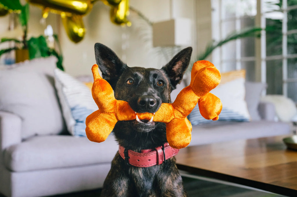 Іграшка Party Animal Balloon Buddy