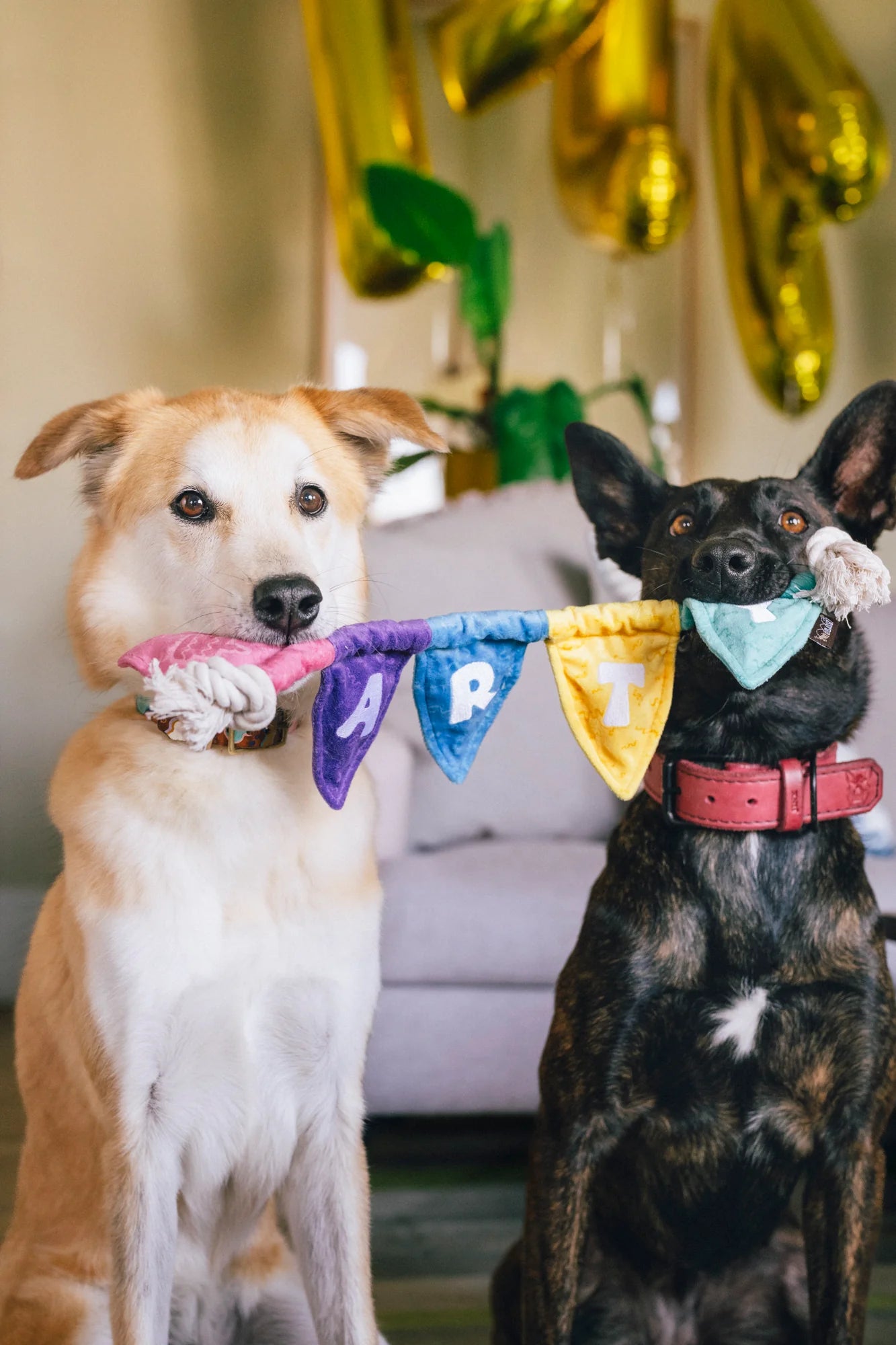 Іграшка Party Animal Tug n’ Party Banner