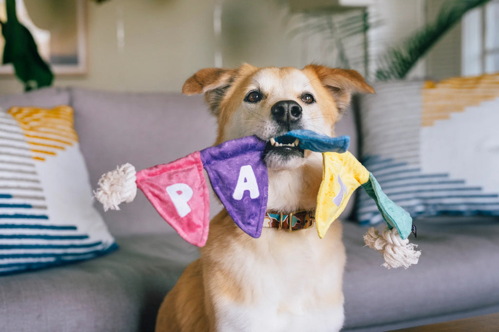 Іграшка Party Animal Tug n’ Party Banner
