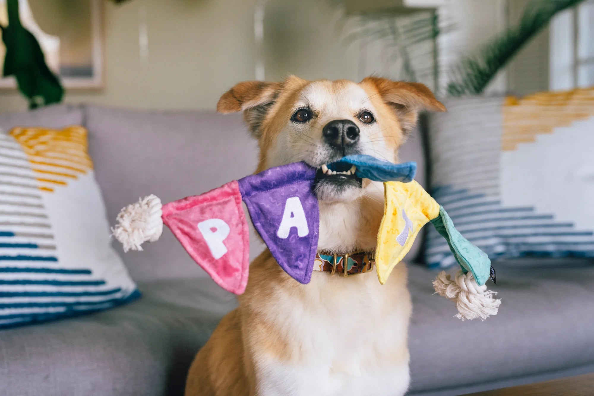 Іграшка Party Animal Tug n’ Party Banner