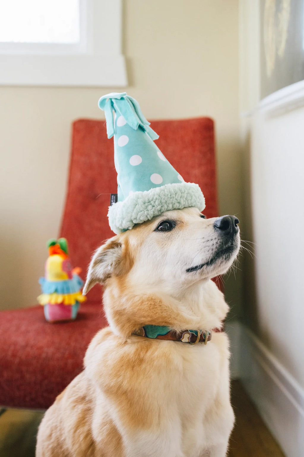 Іграшка Party Animal Yappy Party Hat