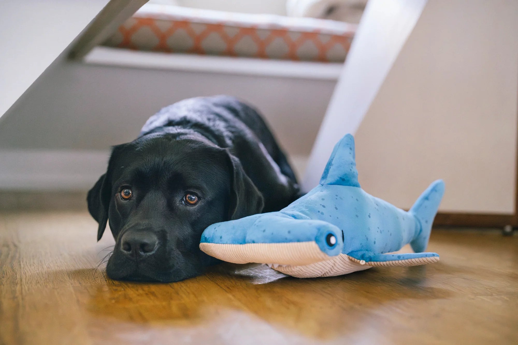 Іграшка Ocean Buddies Bonk the Hammerhead