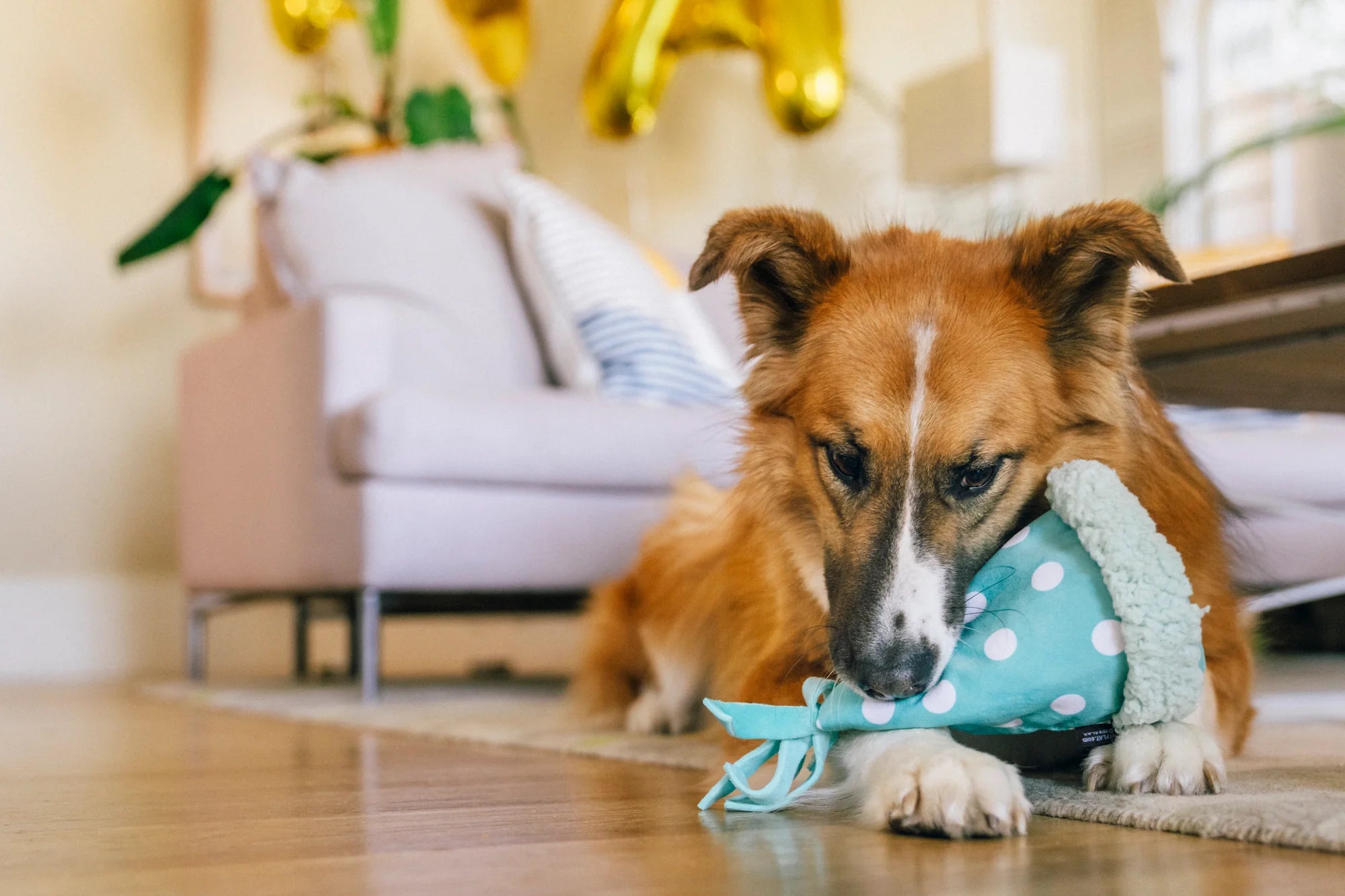 Іграшка Party Animal Yappy Party Hat