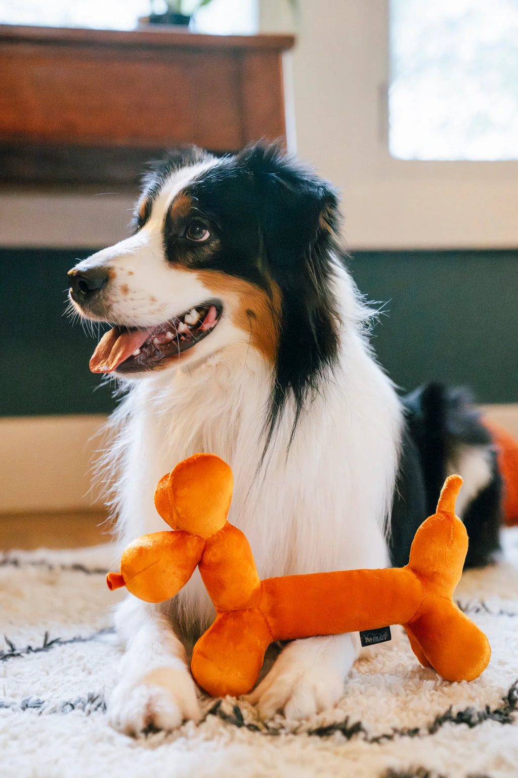 Іграшка Party Animal Balloon Buddy