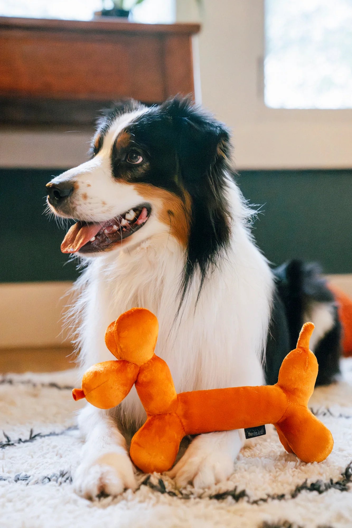 Іграшка Party Animal Balloon Buddy