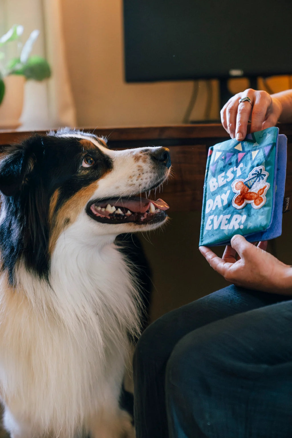 Іграшка  Party Animal Barkday Wishes