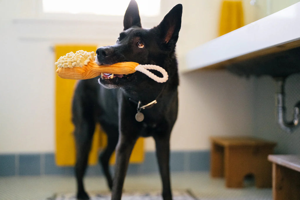 Іграшка Splish Splash Bark n' Bristles